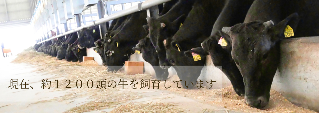メイン画像3・94%がA4ランク以上の飛騨牛